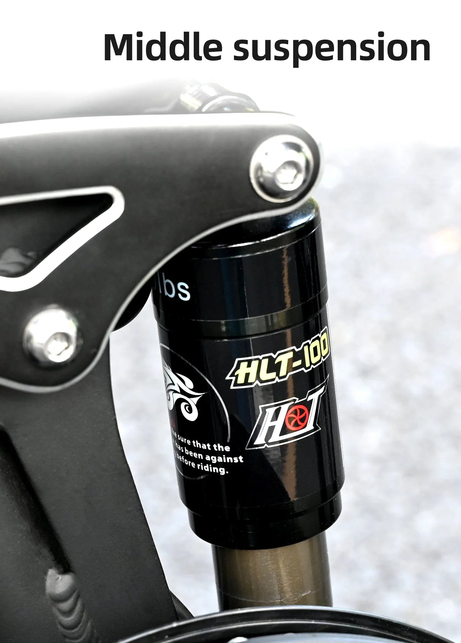 ENGWE ENGINE X 250W Foldable Electric Bike