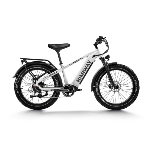Himiway D5 (Zebra) | Premium All-terrain Electric Fat Bike