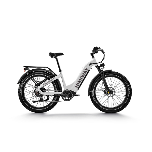 Himiway D5 ST (Zebra ST) | Premium All-terrain Electric Fat Bike