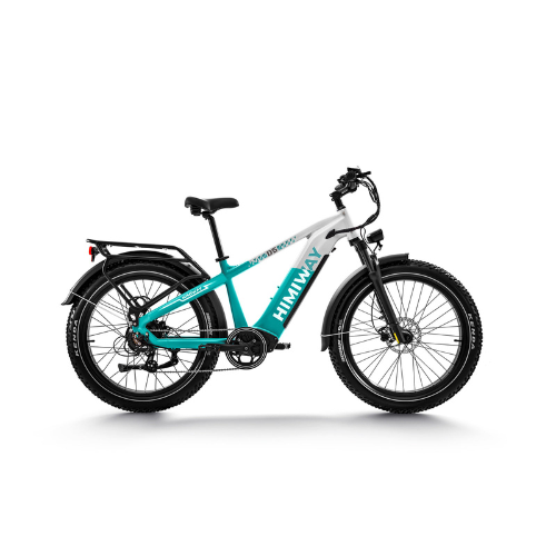 Himiway D5 (Zebra) | Premium All-terrain Electric Fat Bike