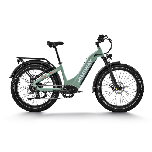 Himiway D5 ST (Zebra ST) | Premium All-terrain Electric Fat Bike