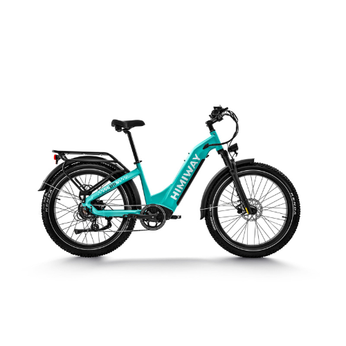 Himiway D5 ST (Zebra ST) | Premium All-terrain Electric Fat Bike