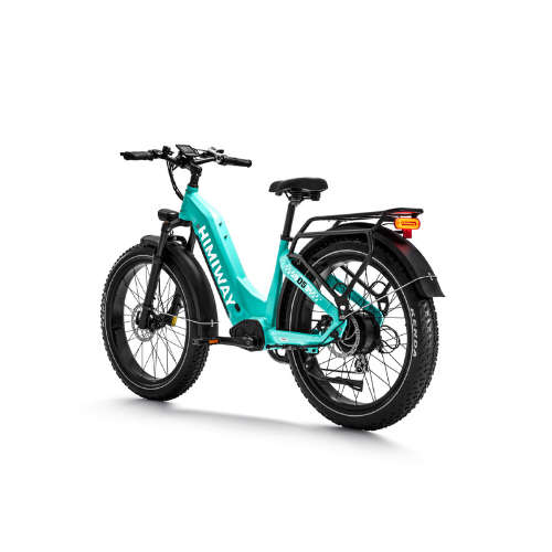 Himiway D5 ST (Zebra ST) | Premium All-terrain Electric Fat Bike