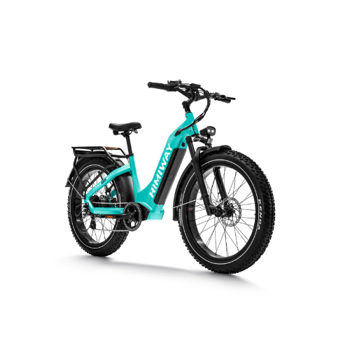 Himiway D5 ST (Zebra ST) | Premium All-terrain Electric Fat Bike