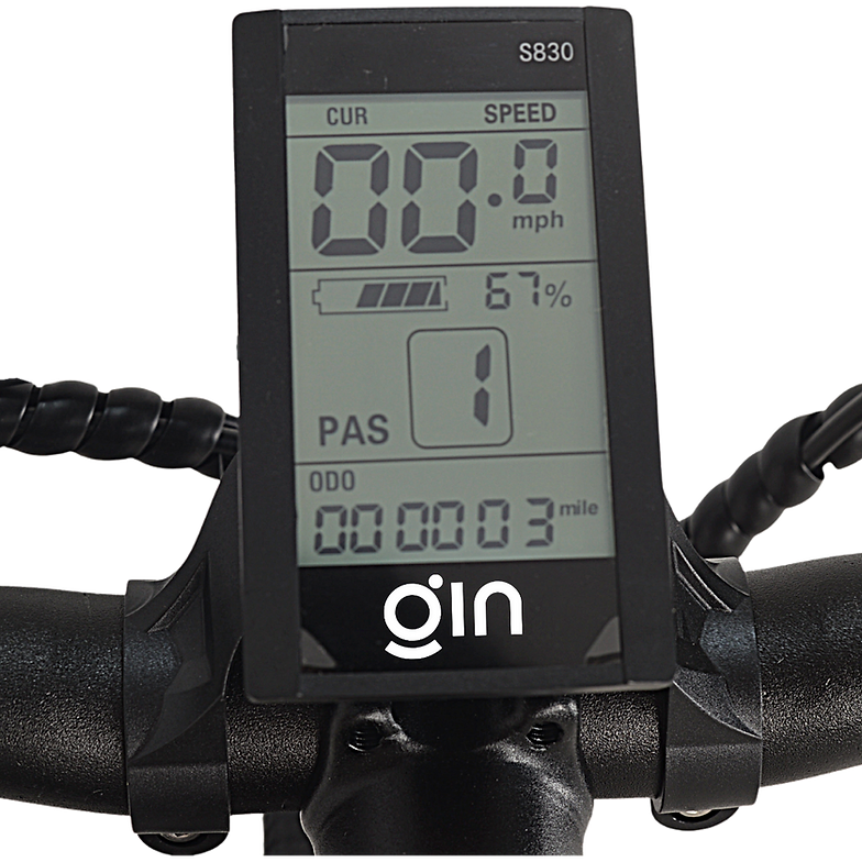 GIN X 250W Electric Hybrid Bike