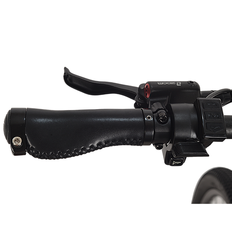 GIN X 250W Electric Hybrid Bike