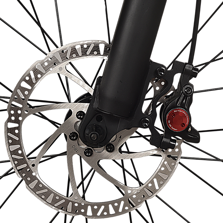 GIN X 250W Electric Hybrid Bike