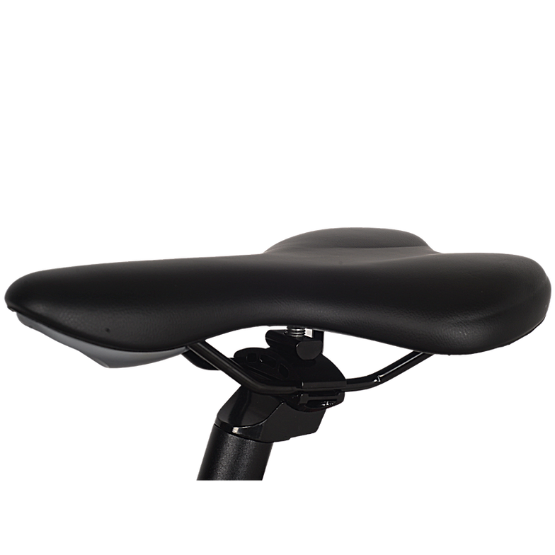 GIN X 250W Electric Hybrid Bike