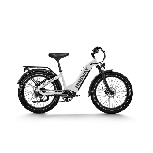 Himiway D5 ST (Zebra ST) | Premium All-terrain Electric Fat Bike