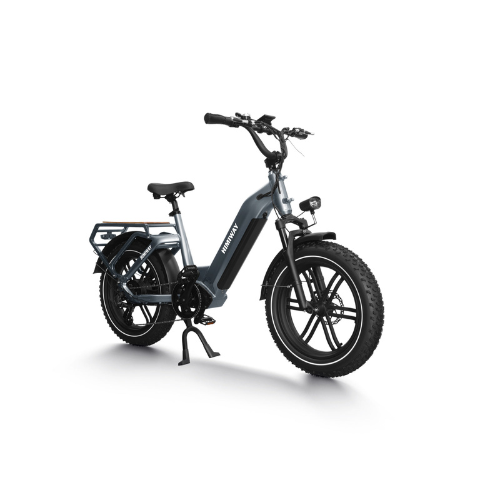 Himiway Big Dog | Electric Cargo Bike