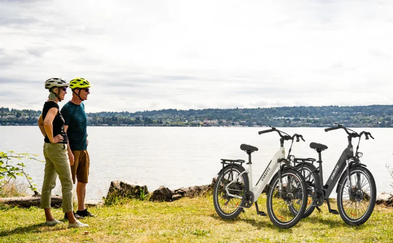 Eskute Polluno PLUS Electric City Bike in Black