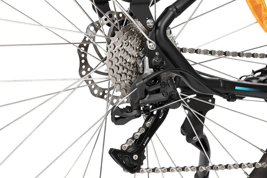 Eskute Polluno Pro Commuter Electric Bike