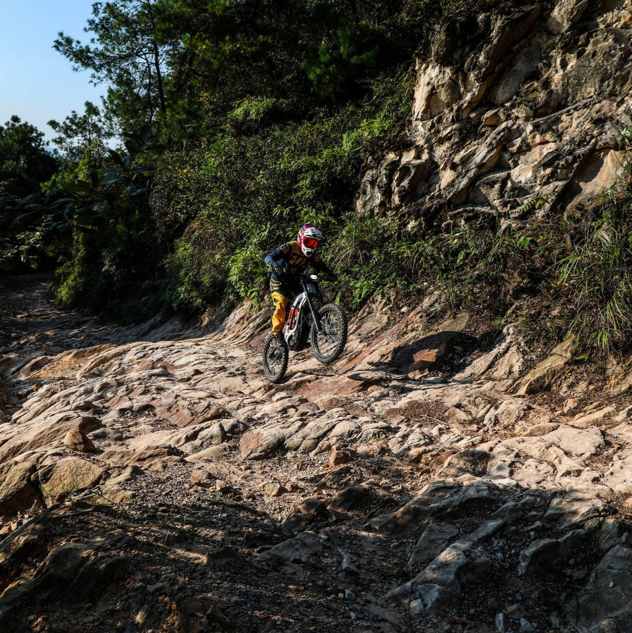 Surron LBX Electric Bike  – Black