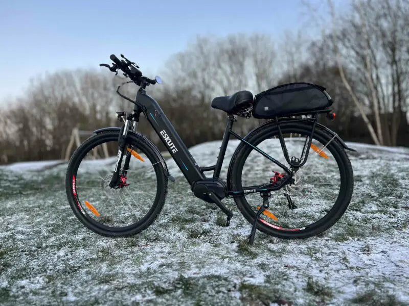 Eskute Polluno Pro Commuter Electric Bike