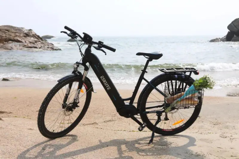 Eskute Polluno Pro Commuter Electric Bike