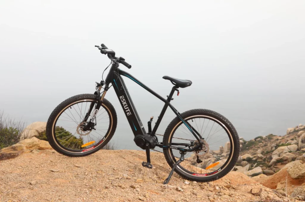 Netuno Pro Electric Mountain Bike